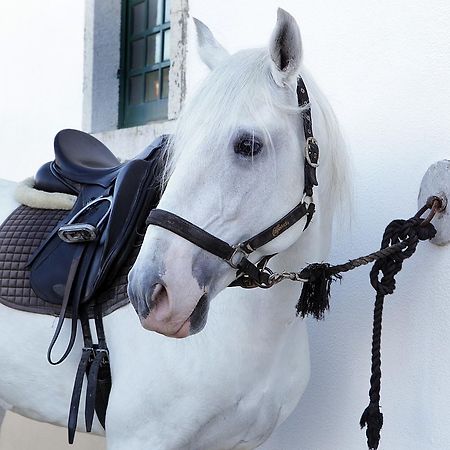 בית הארחה אזייתאו 	Arrabida Heritage @Portugal Luxury Retreat מראה חיצוני תמונה