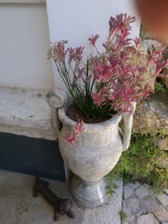 בית הארחה אזייתאו 	Arrabida Heritage @Portugal Luxury Retreat מראה חיצוני תמונה