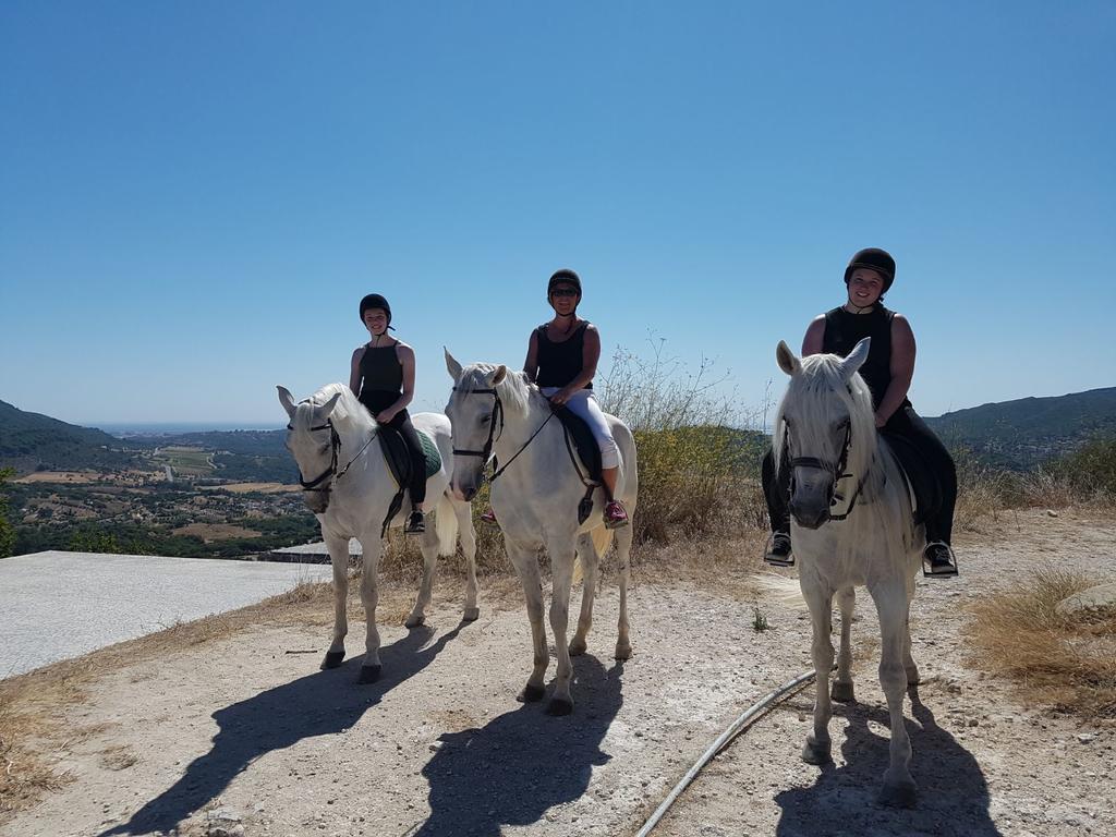 בית הארחה אזייתאו 	Arrabida Heritage @Portugal Luxury Retreat מראה חיצוני תמונה